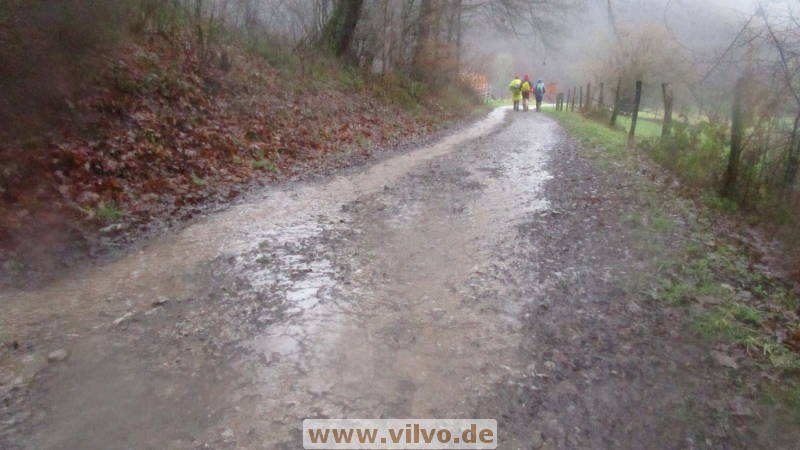 19NEUjanuar06.jpg