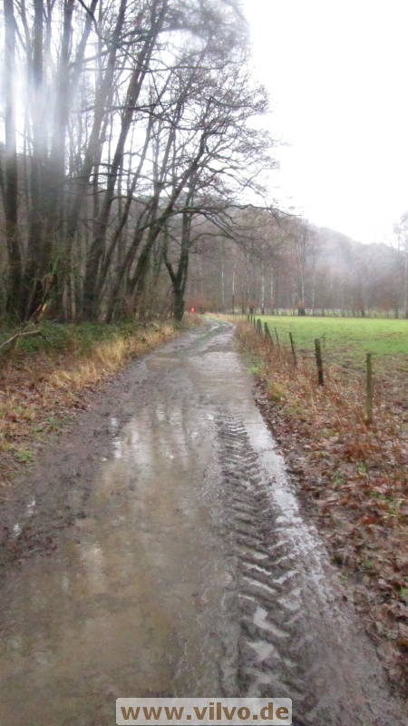 19NEUjanuar08.jpg
