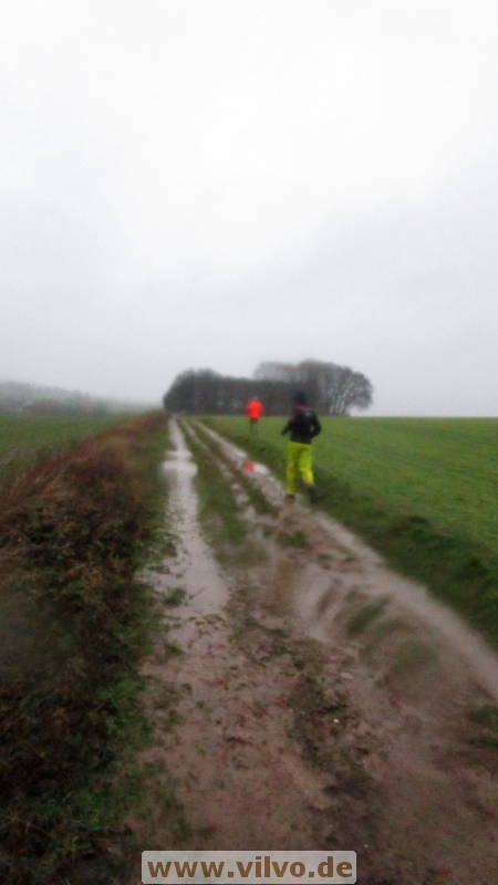 19NEUjanuar11.jpg