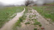 19NEUjanuar09.jpg