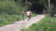19hambach035.jpg