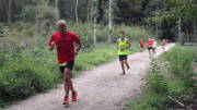 19hambach052.jpg