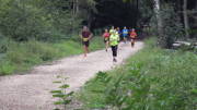 19hambach063.jpg