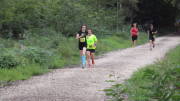 19hambach080.jpg