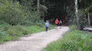 19hambach090.jpg