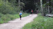 19hambach105.jpg