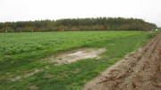 19weilerswist097.jpg