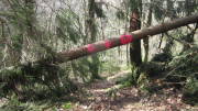 20belgenbach005.jpg