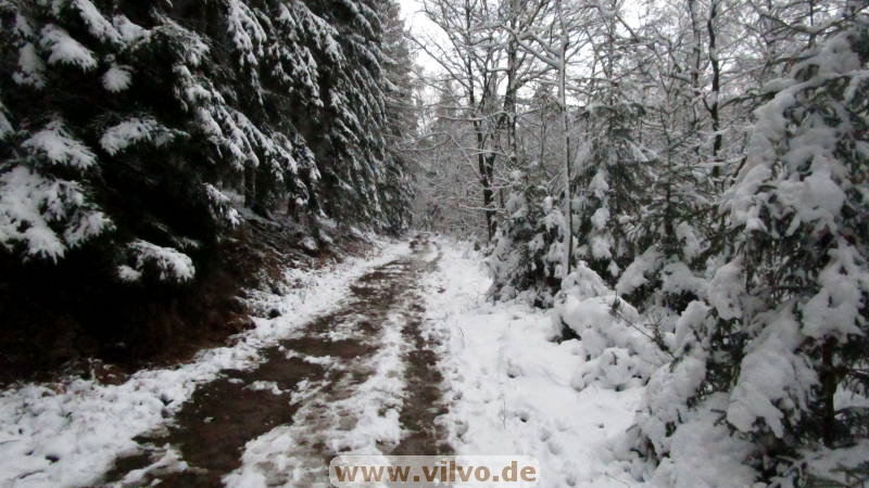21NEU03.jpg