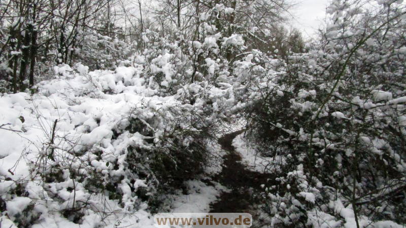 21NEU07.jpg