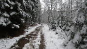 21NEU03.jpg