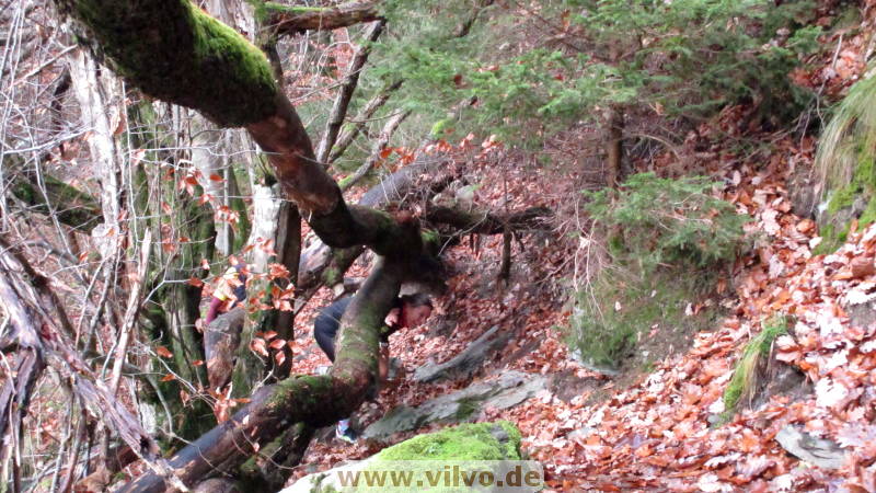 21belgenbach128.jpg 21belgenbach128.jpg