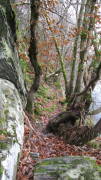 21belgenbach002.jpg