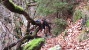 21belgenbach042.jpg