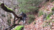 21belgenbach045.jpg