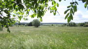 22breinig009.jpg