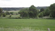 22breinig320.jpg