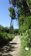 22hahn003.jpg