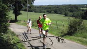 22hahn051.jpg