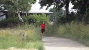 22schmidt091.jpg
