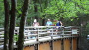 22MOMA0090.jpg