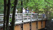 22MOMA0204.jpg