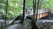 22MOMA0237.jpg