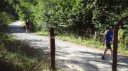 22MOMA0466.jpg
