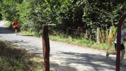 22MOMA0499.jpg