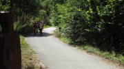 22MOMA0807.jpg