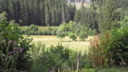 22MOMA0988.jpg