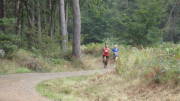 22weilerswist067.jpg