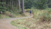 22weilerswist073.jpg
