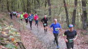 22rursee393.jpg