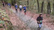 22rursee501.jpg