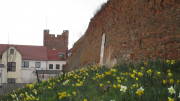 23zuelpich003.jpg