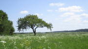 23breinig012.jpg