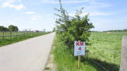 23breinig013.jpg