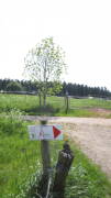 23breinig014.jpg