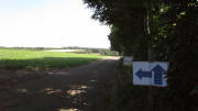 23SteckenbornEIF002.jpg