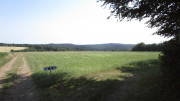 23SteckenbornEIF004.jpg