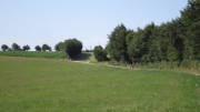 23SteckenbornEIF011.jpg