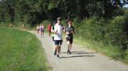 23SteckenbornEIF030.jpg