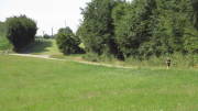 23SteckenbornEIF084.jpg