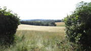 23SteckenbornEIF087.jpg