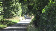 23SteckenbornEIF088.jpg