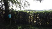 23SteckenbornEIF089.jpg