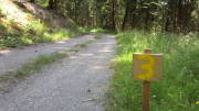 23SteckenbornEIF090.jpg