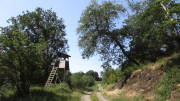 23SteckenbornEIF091.jpg