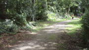 23montesophia033.jpg